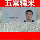 黏大米 农家江米 包粽子米 东北五常糯米 新米