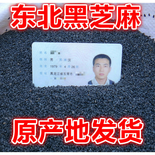 新鲜生芝麻东北十月特产杂粮