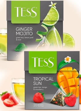 进口俄罗斯三角形水果茶包防困提神TESS果粒茶红茶绿茶奶茶店待客