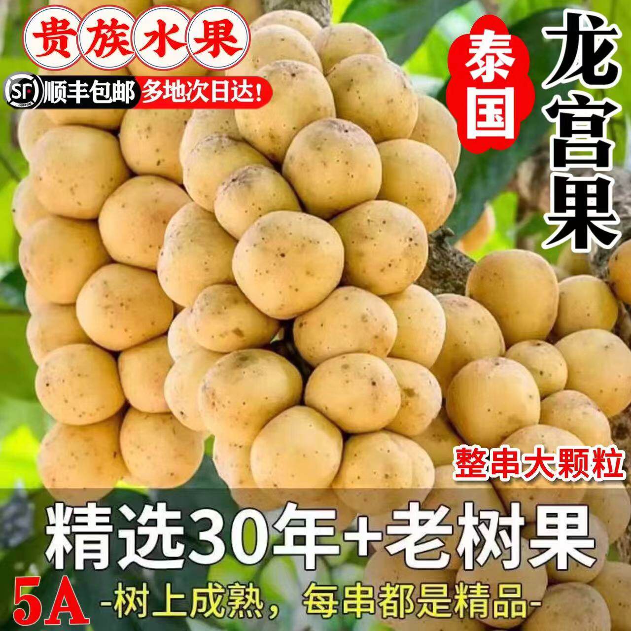 泰国进口龙宫果新鲜水果西双版纳椰色果龙贡兰萨黄皮枇杷奇怪水果