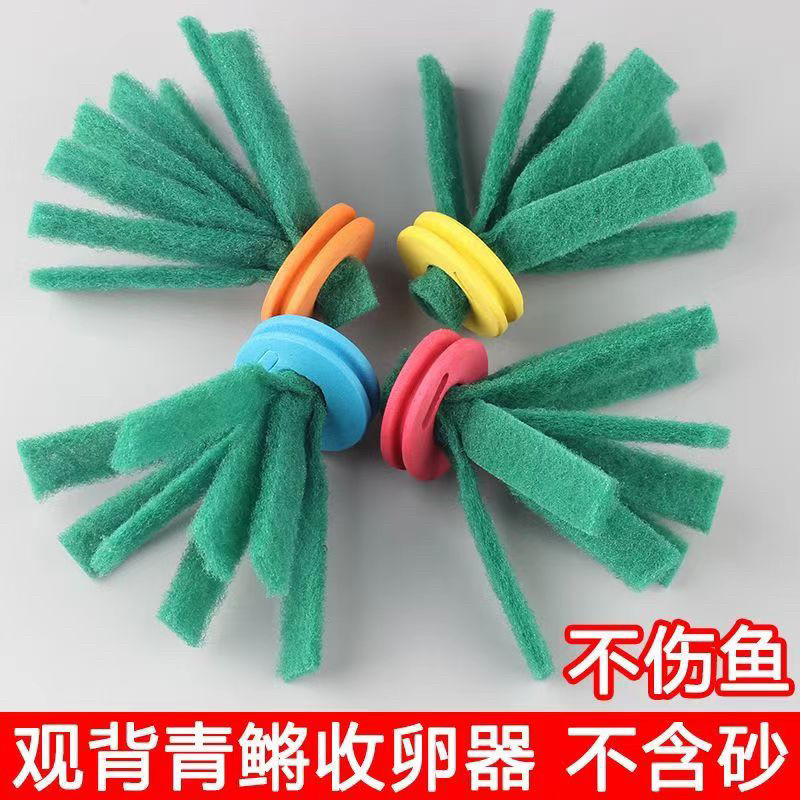 观背青鳉收卵器 八爪鱼收卵器 迷你锦鲤 观背青鳉浮水收卵器