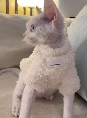 冬天ins猫咪衣服冬季保暖加厚加绒卫衣银渐层无毛猫布偶猫防掉毛