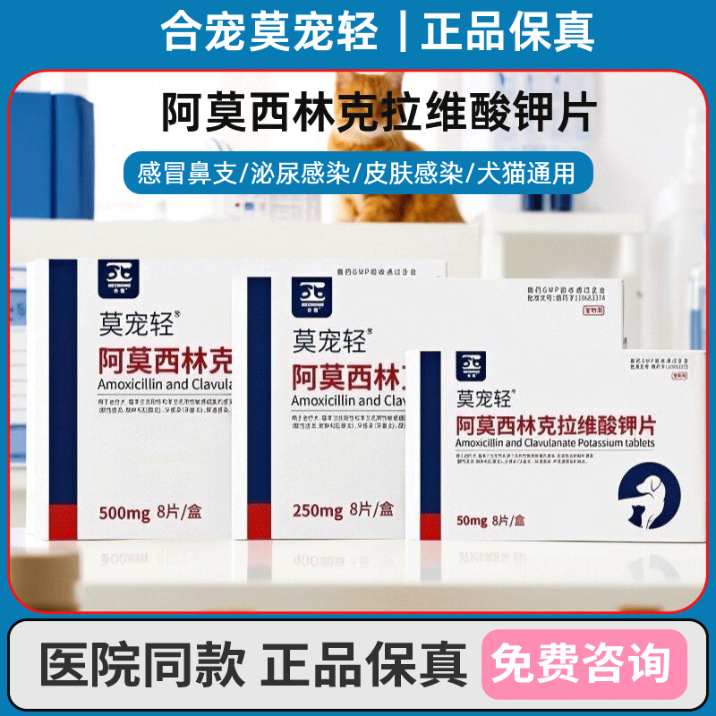 合宠莫宠轻阿莫西林克拉维酸钾片速猫狗消炎感冒咳嗽诺鼻涕猫鼻支