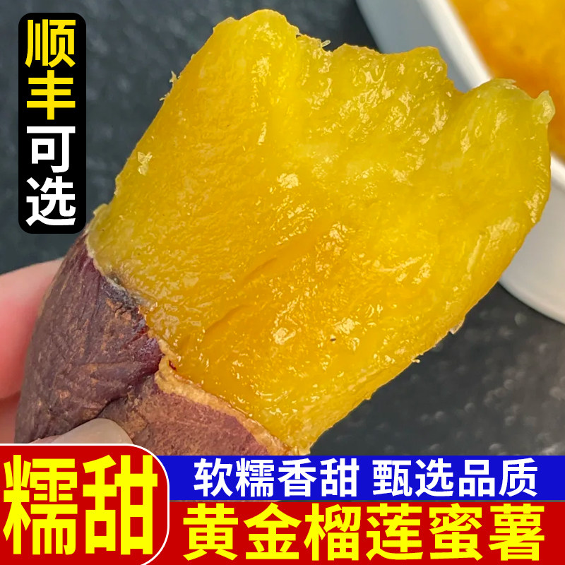 云南正宗榴莲蜜薯黄心软糯香甜丝滑细腻新鲜现挖地瓜番薯溏心红薯