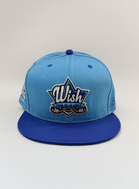 Wish Cup冰球赛事纪念平檐棒球帽 Title Wave硬顶Snapback运动球