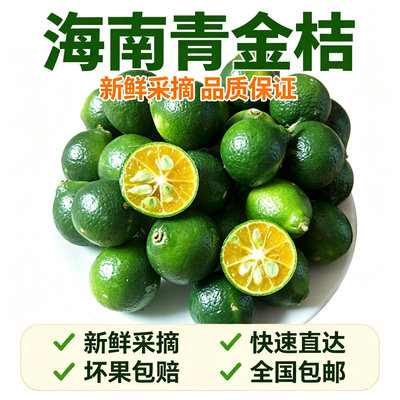 新鲜皮薄多汁小金桔小青柠包邮