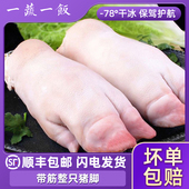 散养土猪蹄大号带筋猪前蹄无注水冷冻猪手猪脚生鲜食材顺丰 包邮