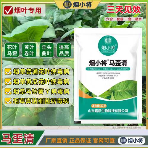 马歪清 烤烟马歪 歪头 花叶 卷叶 曲叶 病毒 落叶 专用叶面肥
