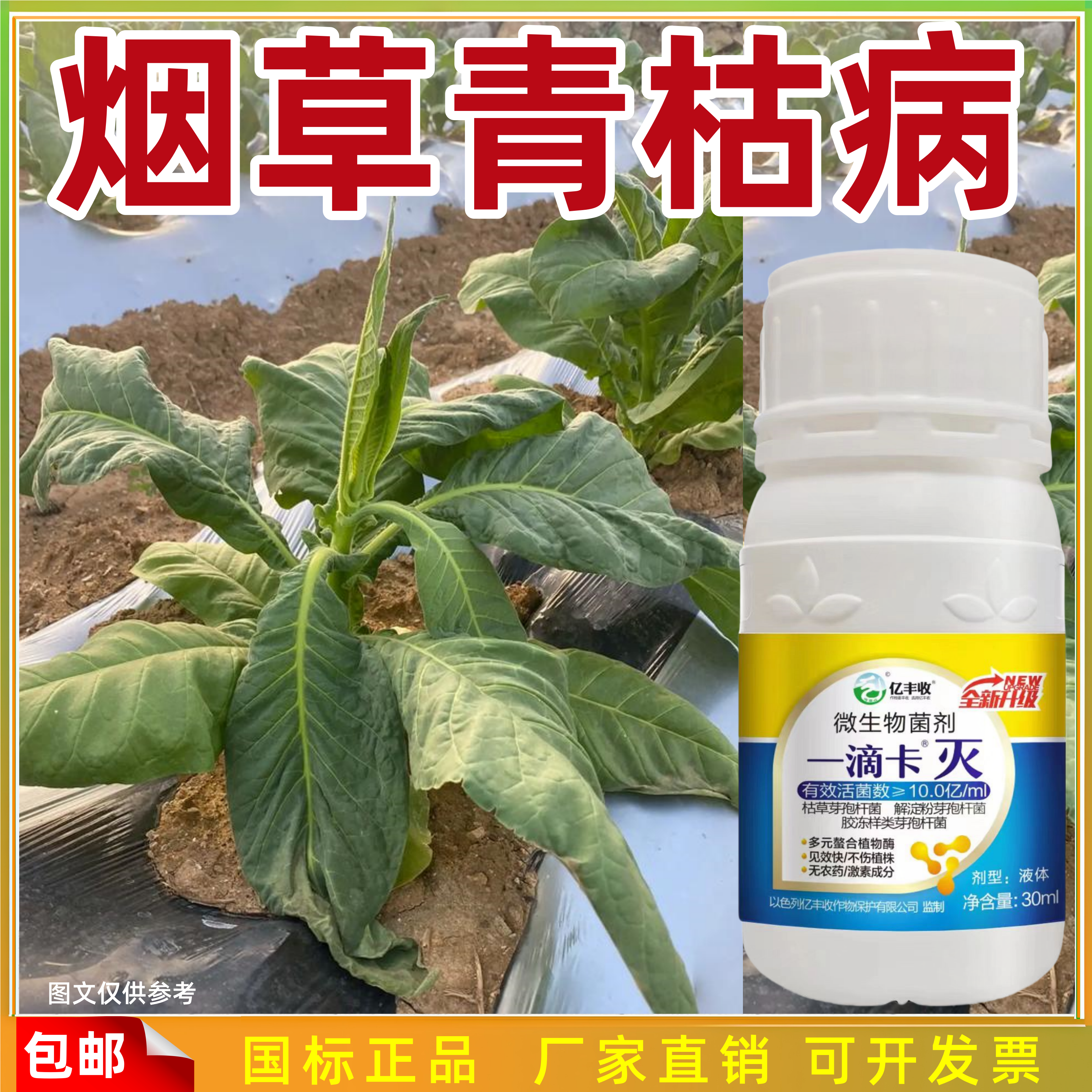 烟草烟叶青枯立枯克星微生物菌剂茎腐气候斑野火斑点病花叶病
