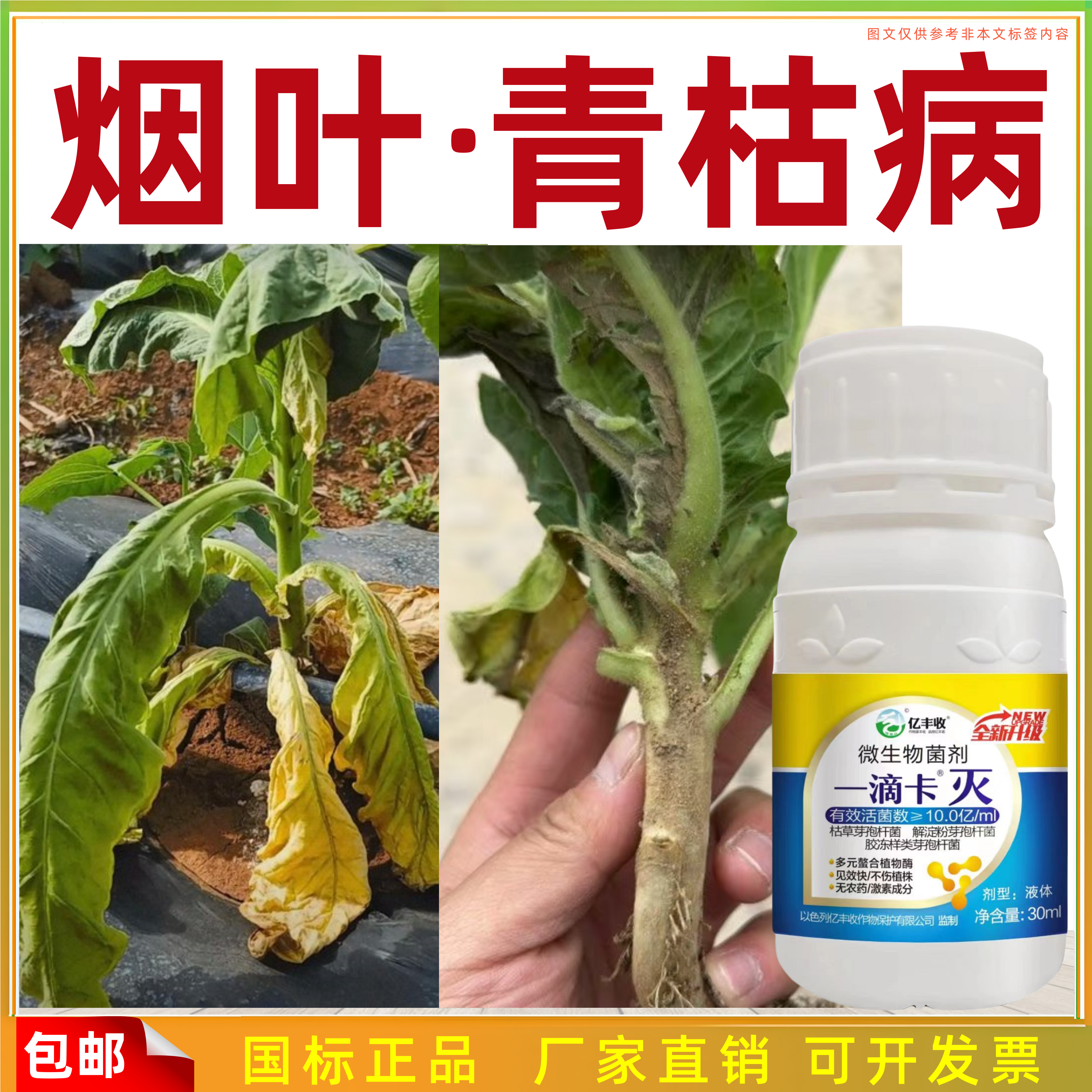 烟草青枯烟草烟叶立枯克星微生物菌剂茎腐气候斑野火斑点病花叶病