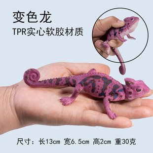 仿真爬行动物模型蜥蜴玩具壁虎变色龙玩偶科莫多巨蜥儿童认知礼物