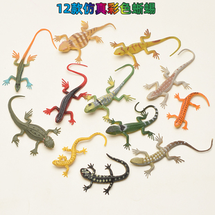仿真软胶蜥蜴模型变色龙四脚蛇 12款 石龙子 壁虎爬行动物昆虫玩具