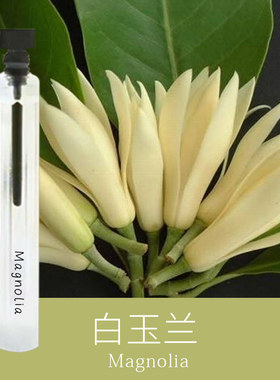 偶遇私家白玉兰香味香水