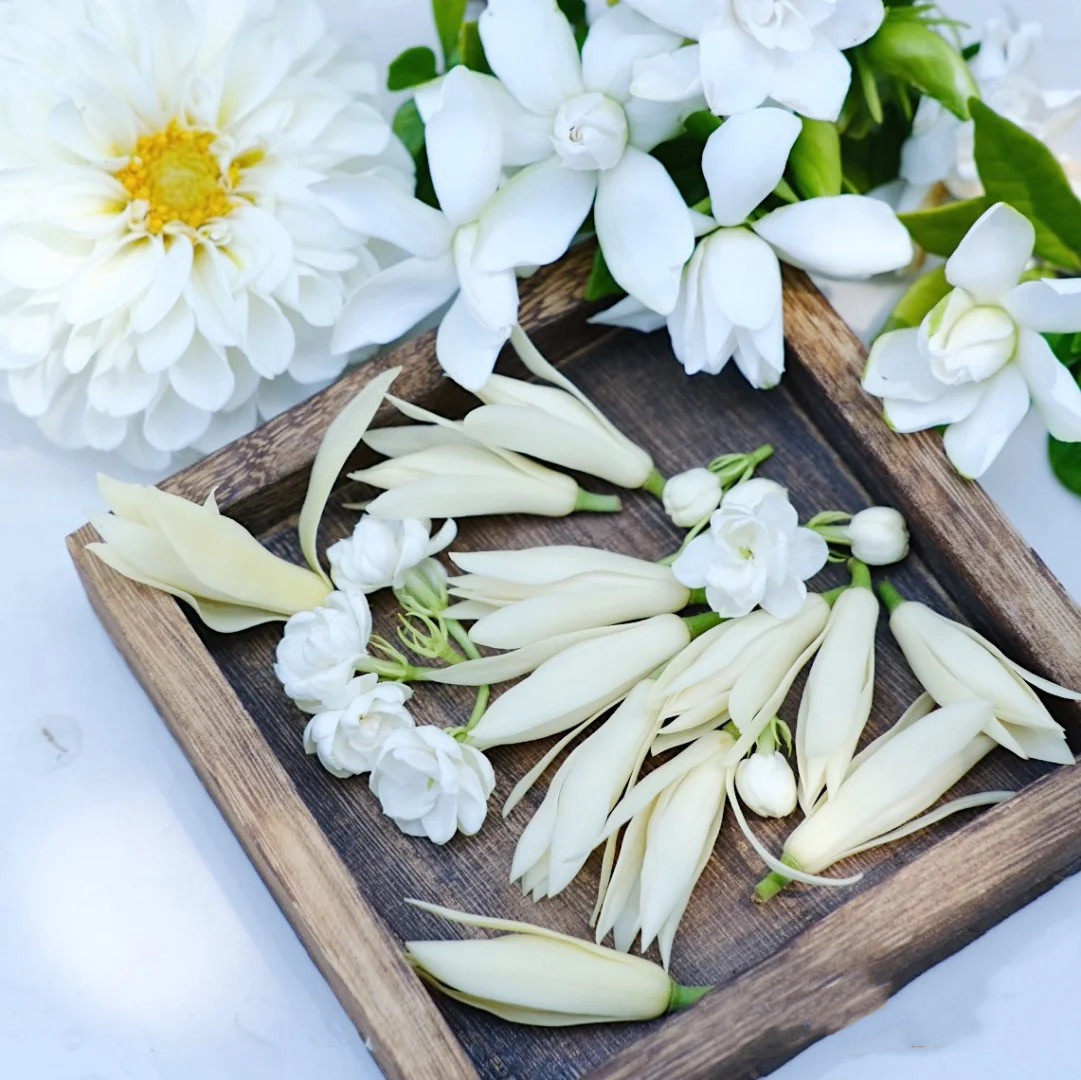 盛夏三白香水白玉兰栀子花茉莉花香水女士淡雅花香调持久留香