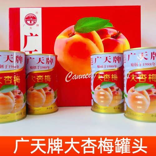 广天大杏梅罐头软糯清甜