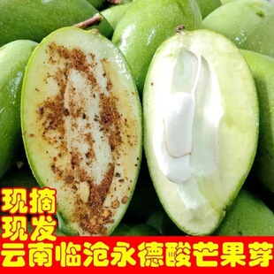 三年芒云南临沧老品种青芒四季芒酸脆小芒果新鲜非象牙芒时令水果