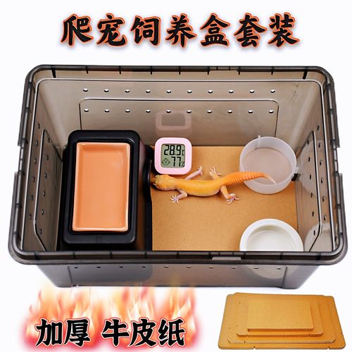 爬宠虫饲养盒牛皮纸蚕宝宝守宫