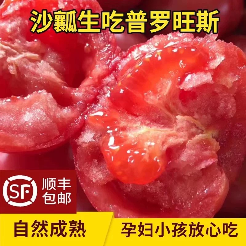 【5A品质】普罗旺斯沙瓤生吃番茄