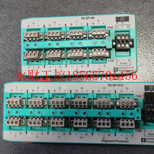 议价*R2-SP-N8 R2-SP-N12 倍加福P+F模块 原装现货￥