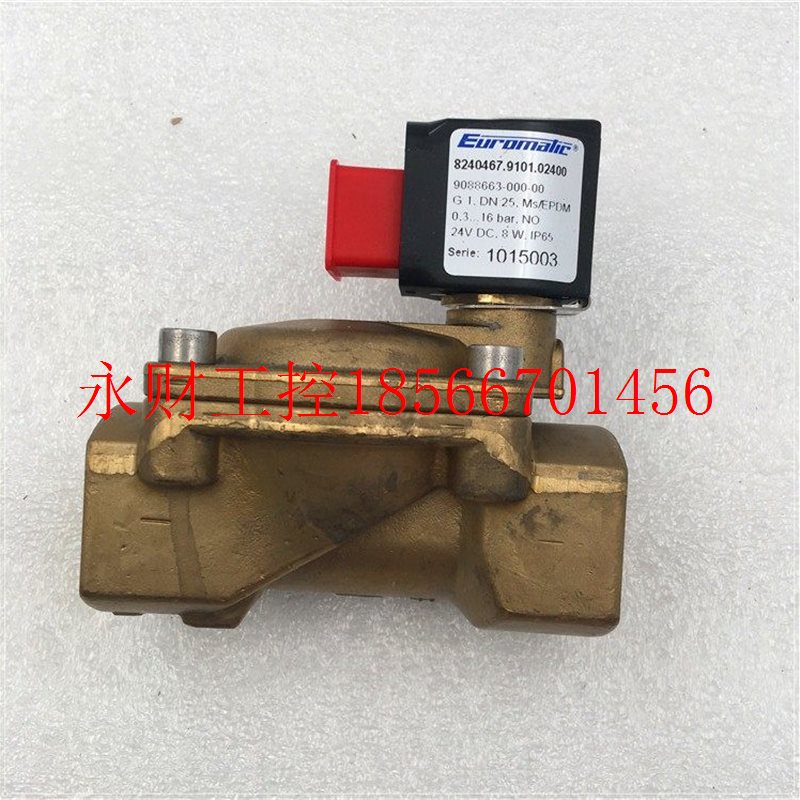 议价现货Euromatic 8240467.9101.02400 G1.DN25.MS/EPDM  9088￥