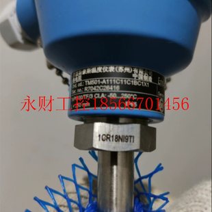 全新 TM501 A111C11C1BC1X1 正￥ 原装 议价E 恩德斯豪斯热电阻