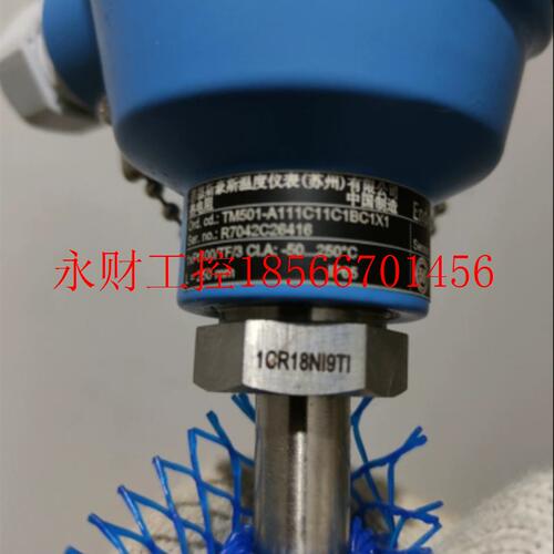 议价E+H 恩德斯豪斯热电阻 TM501-A111C11C1BC1X1 全新 原装正￥