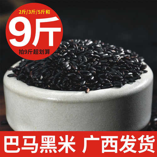 巴马黑米长寿米农家自产