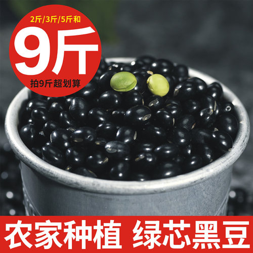 新货新豆广西农家自产自种绿心芯笨小黑豆粗粮打豆浆专用杂粮散装 - 封面
