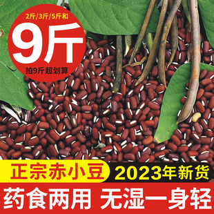 2023年新货广西长粒赤小豆农家自产非红豆赤小豆薏米茶祛湿气杂粮