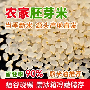 东北胚芽米2025年新米圆粒粳米小孩辅食熬米汤粥现碾磨补津液养脾