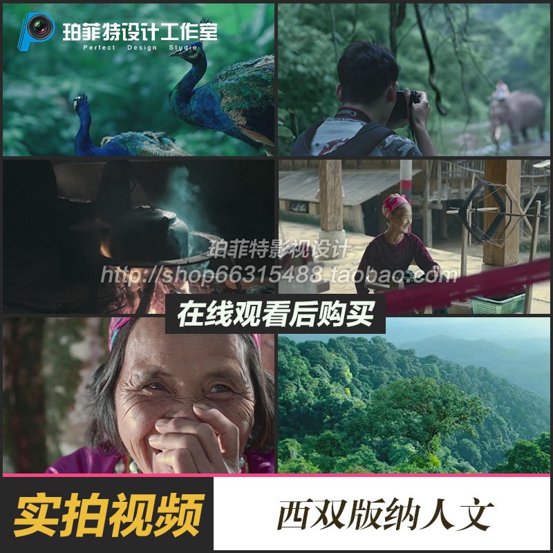西双版纳宣传片原始森林大象孔雀树民族风情人文景观实拍视频素材