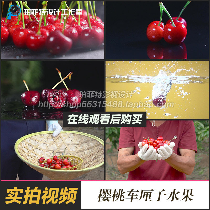 樱桃车厘子水果樱桃下水农民手捧樱桃特写展示手捧樱桃视频素材