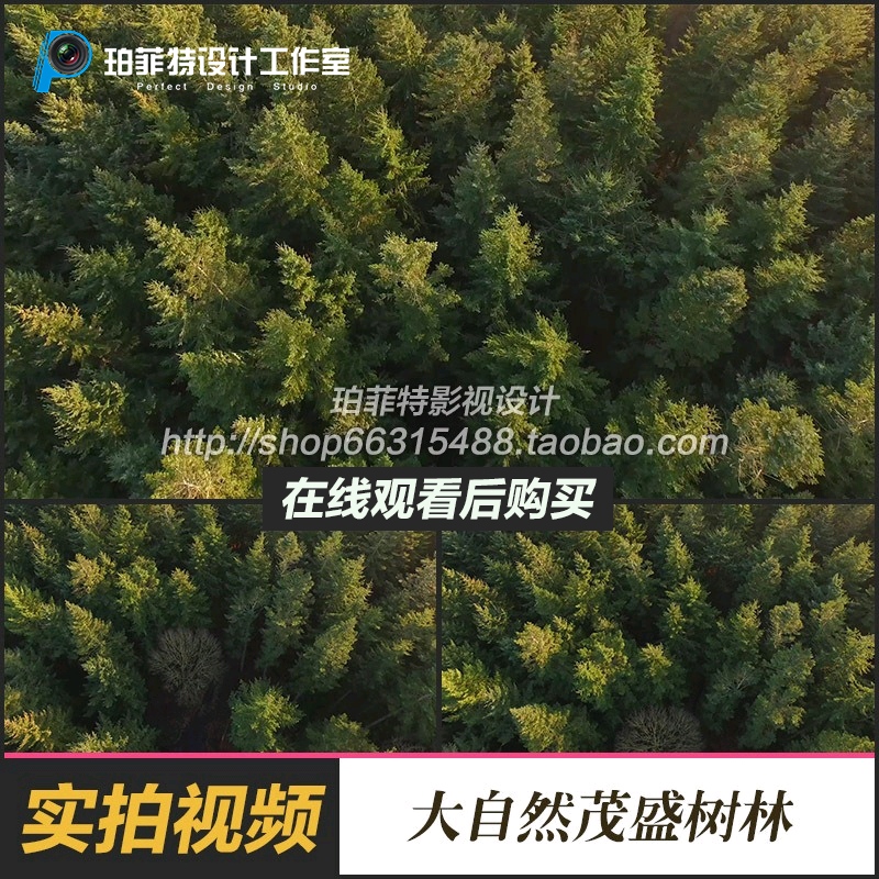 实拍视频素材 大自然茂盛树林高空俯视实拍航拍高清素材在类目 商务/设计服务, 设计服务, 设计素材/源文件中 - 来自Buy2taobao.com提供专业的淘宝代购服务