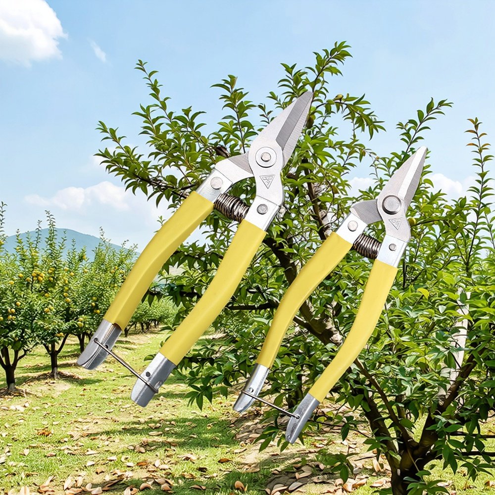 罗定果剪不锈钢防滑柄修枝摘果剪