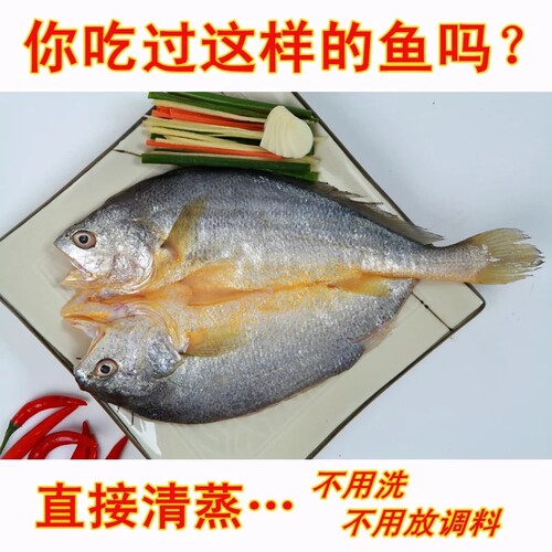 7-8两活鱼现捞 半野化黄花鱼 杀好5两以上真空发 6条装 - 封面