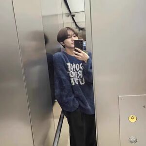 1506-1/M73851/P54长毛绒字母提花毛衣男宽松针织衫图片