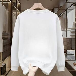 1506-1/WH7771/P35秋冬新款高级潮牌印花重磅卫衣男衣图片