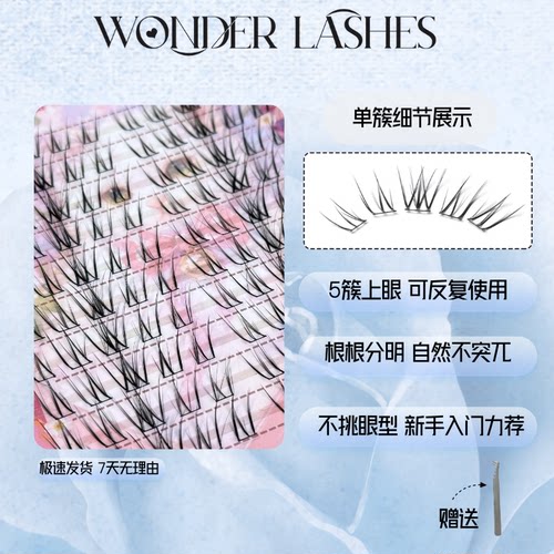 白玉兰分段式自然D翘假睫毛