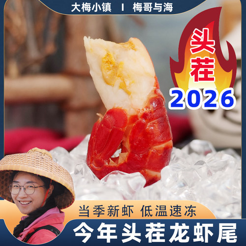 湖北潜江特A级龙虾尾一盒