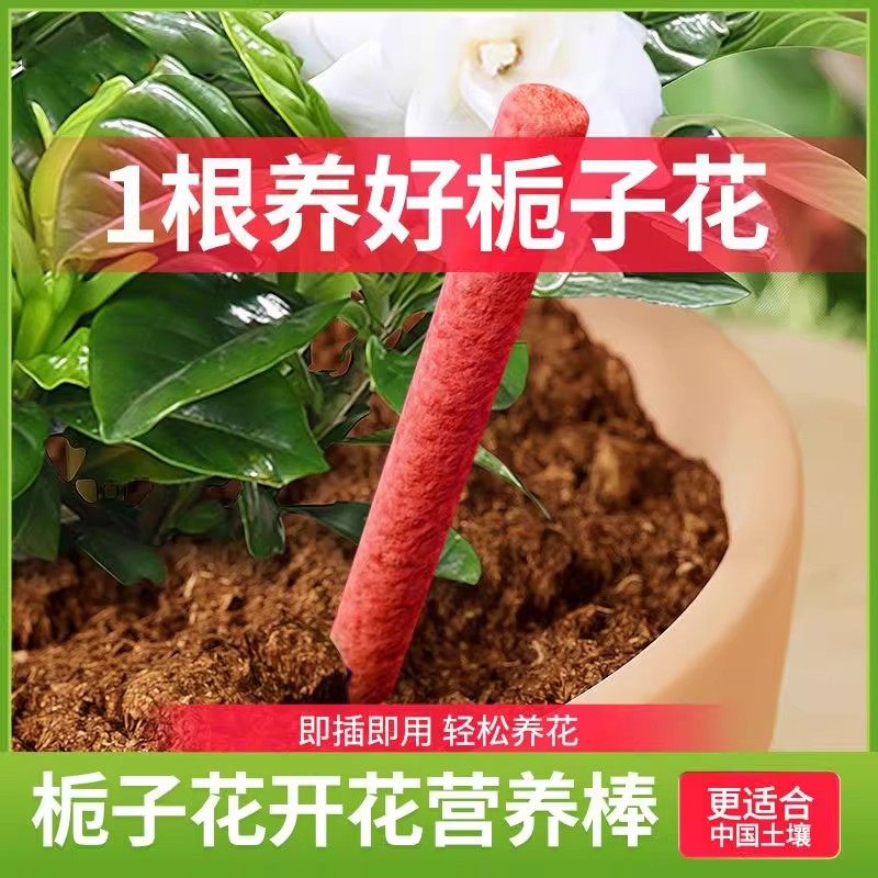 花肥料盆栽植物通用型家用养花花卉缓释肥绿植肥懒人营养棒,鲜花速递/花卉仿真/绿植园艺,家庭园艺肥料,淘宝优惠券,粉丝福利购,淘宝优惠卷