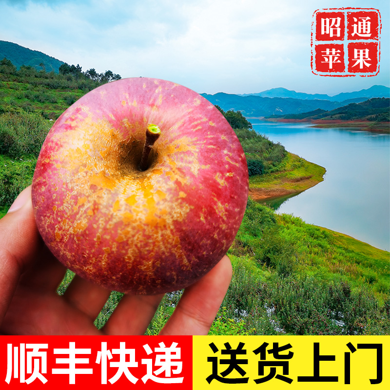 正宗云南10斤冰糖心脆甜昭通苹果