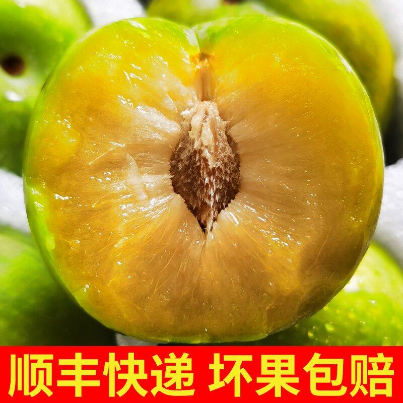 李子脱骨李重庆脆甜青脆李5斤