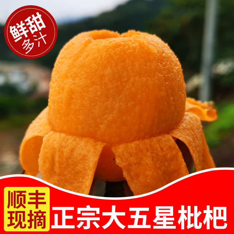 顺丰大五星枇杷新鲜现摘琵琶果水果当季琵笆土批把皮薄多汁甜琵芭