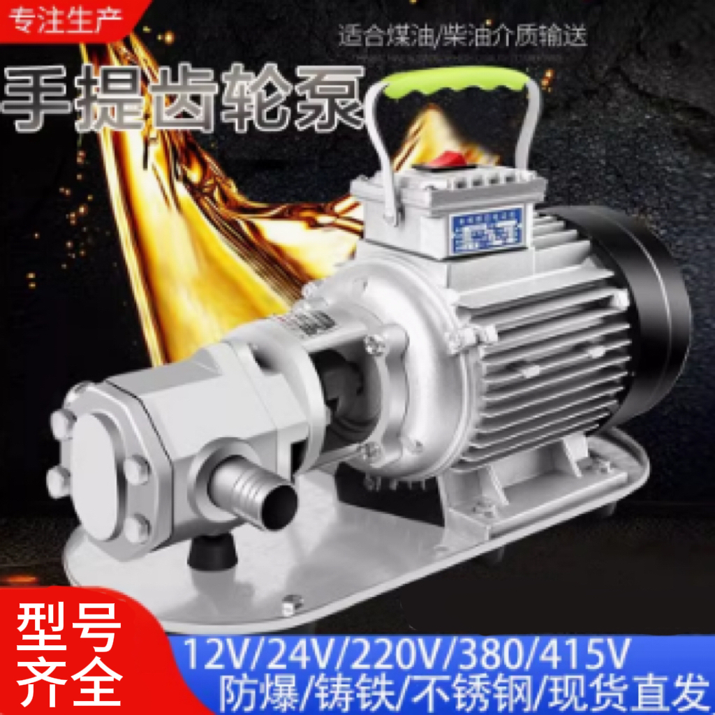 齿轮油泵不锈钢便携耐高温高粘度
