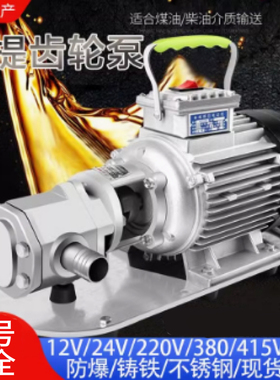 不锈钢电动抽油泵自吸齿轮泵高粘度柴油机油食用油手提便携式WCB