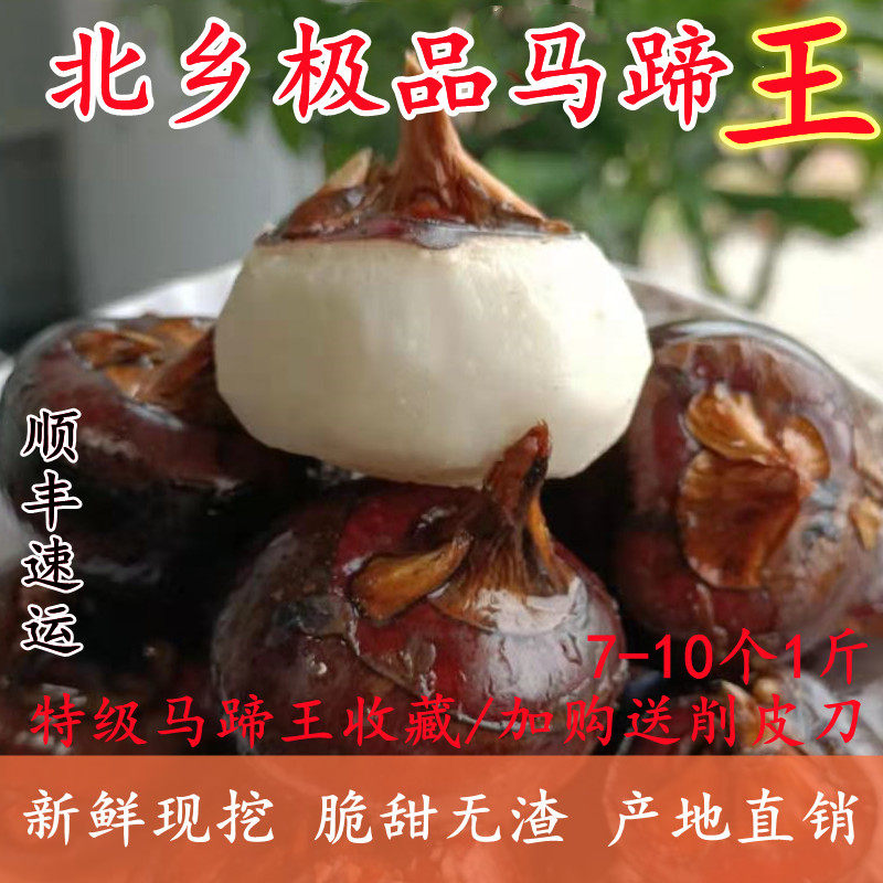 特极马蹄乐昌市新鲜乐联农优水果