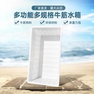加厚牛筋水箱长方形大号水产养殖箱养鱼养龟浅盆塑料水箱大水缸