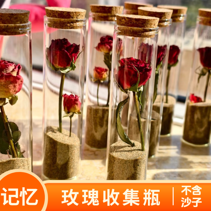 沙漠装沙收集瓶收纳透明玻璃瓶小朋友旅游礼物纪念品行腾格里沙漠