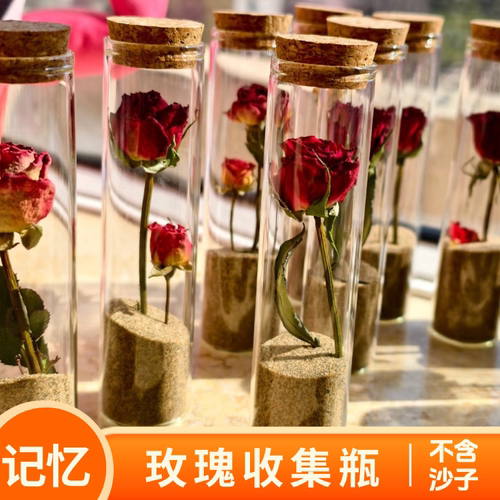 沙漠装沙收集瓶收纳透明玻璃瓶小朋友旅游礼物纪念品行腾格里沙漠
