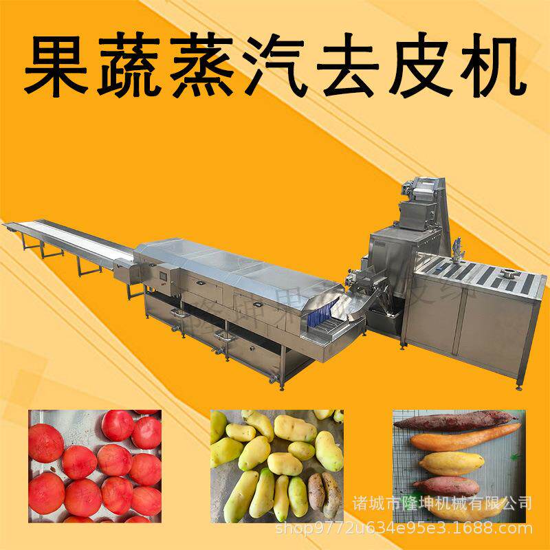 葡萄蒸汽去皮机 全自动葡萄桃子去皮设备 马铃薯西红柿物理脱皮机